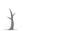 co2 neutralt website